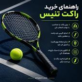 2779.webp