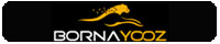 borna-yooz.webp
