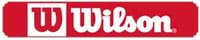 logo-wilso.webp