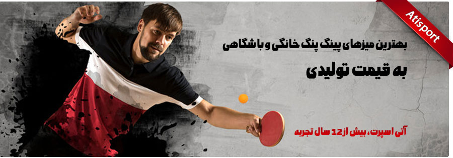 ping-pong-table-banner-new.webp