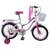 دوچرخه-اسکورت-111-16