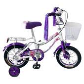 دوچرخه-اسکورت-111-12