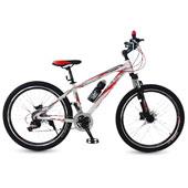 دوچرخه-Alex-fighter-26-2017