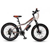 دوچرخه-Alex-formula-24-777