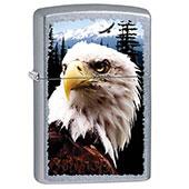 فندک-Zippo-Eagle-Street