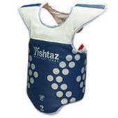 هوگو-الکترونیک-پیشتاز