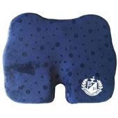 ايرينگ-دنبالچه-درمان-پژوه