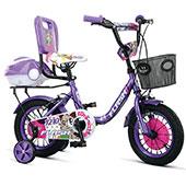 دوچرخه-بچه-گانه-فلش-3210-12-2017