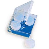 گوش-گیر-شنا-Zoggs-silicone-ear-plugs