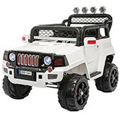 ماشین-شارژي-فلامينگو-688