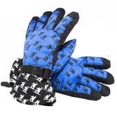 دستکش-اسکی-b001