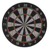 دارت-سوزنی-Pro-Sports