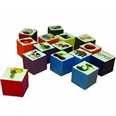 ایستگاه-جست-و-جو-NSN