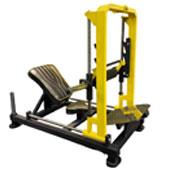 پل-باسن-ریلی-الموت