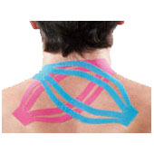 مکس-تیپ-lp-support-629L