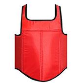 هوگو-سانشو-ووشو