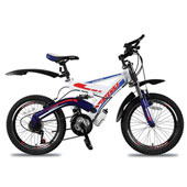 دوچرخه-آپاچی-اینتنس-230-سایز-20