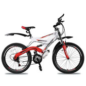 دوچرخه-آپاچی-اینتنس-240-سایز-20