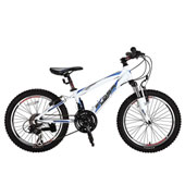 دوچرخه-فلش-20-F14-2015