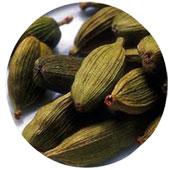 روغن-ماساژ-هل