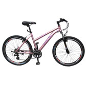 دوچرخه-ایکس-ترونیک-025-26