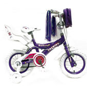 دوچرخه-TPT-bike-1270