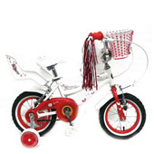 دوچرخه-TPT-bike-1273