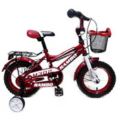 دوچرخه-TPT-bike-12107