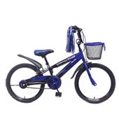 دوچرخه-TPT-bike-2022
