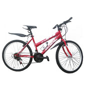 دوچرخه-Olympia-bike-2470