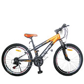 دوچرخه-Olympia-bike-2461