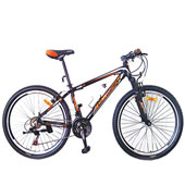 دوچرخه-Olympia-bike-26185