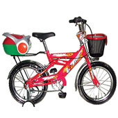 دوچرخه-TPT-bike-1633