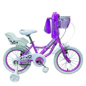 دوچرخه-TPT-bike-1673