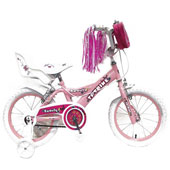 دوچرخه-TPT-bike-1691