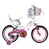 دوچرخه-TPT-bike-1694