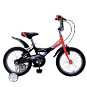 دوچرخه-TPT-bike-16114