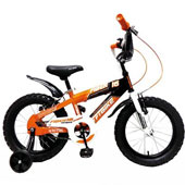دوچرخه-TPT-bike-16116