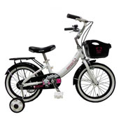 دوچرخه-TPT-bike-16130