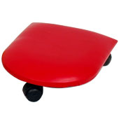 اسکوتر-برد-کوچک