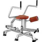 پهلو-مسگری-BH-ROTARY-TORSO