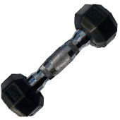 دمبل-8-ضلعی-پیشگام-2-و-نیم-کیلوگرم