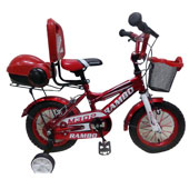 دوچرخه-TPT-bike-12155