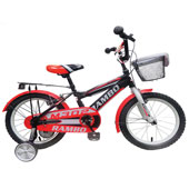 دوچرخه-TPT-bike-16146