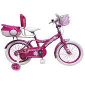 دوچرخه-TPT-bike-16163