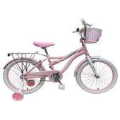 دوچرخه-TPT-bike-20177