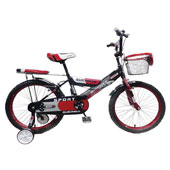 دوچرخه-TPT-bike-20173