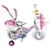 دوچرخه-دلفین-1259