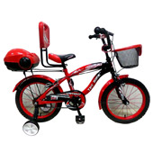 دوچرخه-TPT-bike-16175