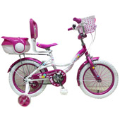 دوچرخه-TPT-bike-16177
